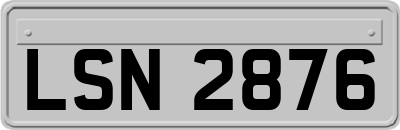 LSN2876