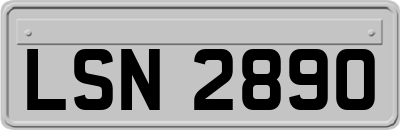LSN2890