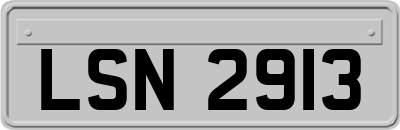 LSN2913
