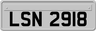 LSN2918