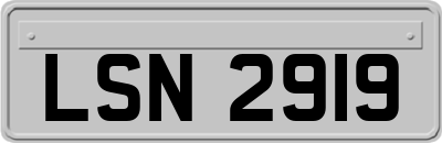 LSN2919