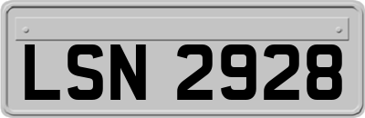 LSN2928