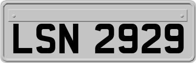 LSN2929