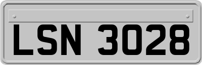 LSN3028