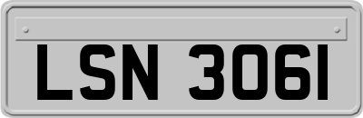 LSN3061