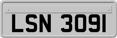 LSN3091