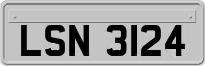 LSN3124