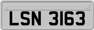 LSN3163