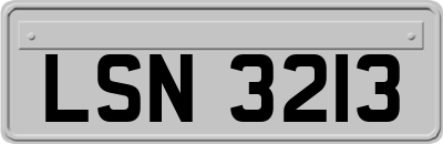 LSN3213