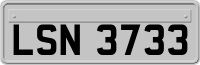 LSN3733