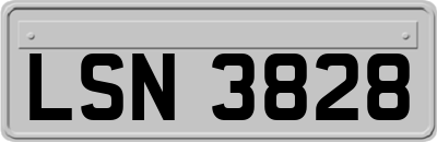 LSN3828