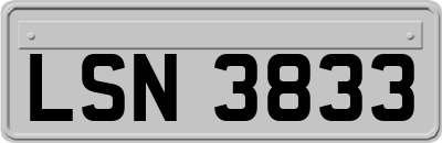 LSN3833
