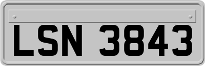 LSN3843
