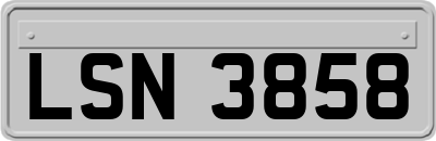 LSN3858