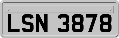 LSN3878