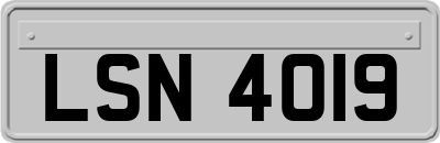 LSN4019