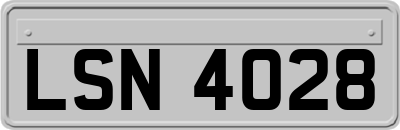 LSN4028