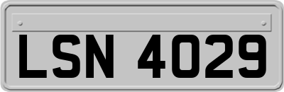 LSN4029