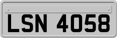 LSN4058