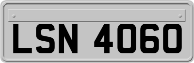 LSN4060