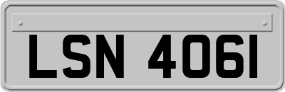 LSN4061
