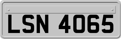 LSN4065