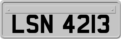 LSN4213