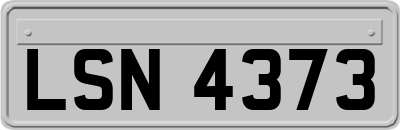 LSN4373