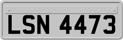 LSN4473