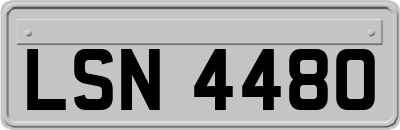 LSN4480