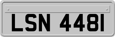 LSN4481