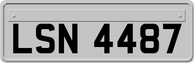 LSN4487
