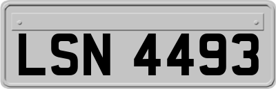 LSN4493