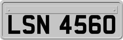 LSN4560
