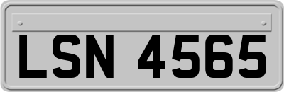 LSN4565