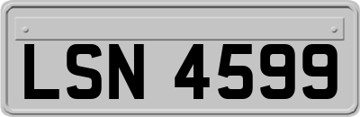 LSN4599