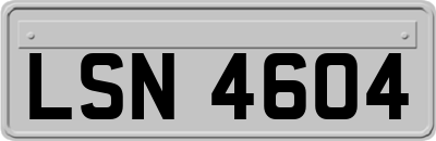 LSN4604