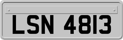 LSN4813