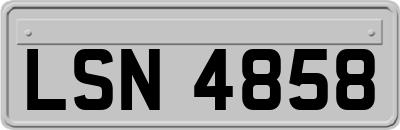 LSN4858