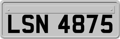 LSN4875