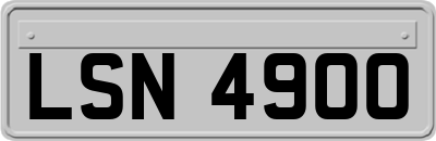 LSN4900