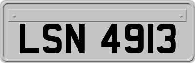 LSN4913