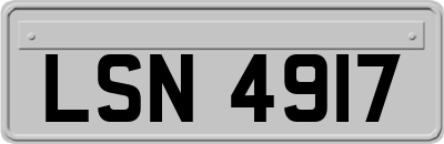 LSN4917