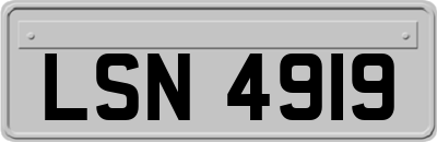 LSN4919