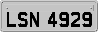 LSN4929