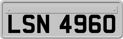 LSN4960