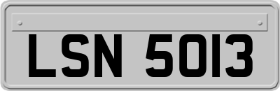 LSN5013