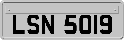 LSN5019