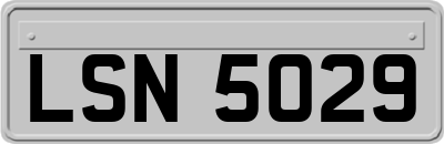 LSN5029