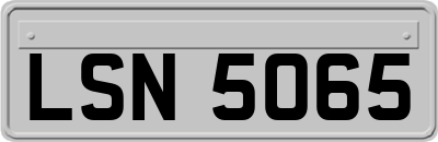 LSN5065